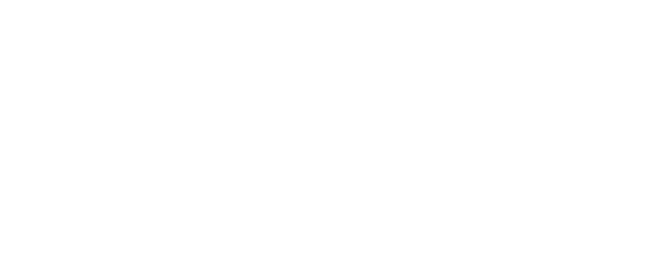 SDI Logo hell
