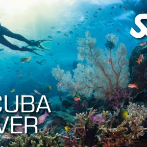 VIP Open Water Diver – private Tauchausbildung mit persönlicher Betreuung